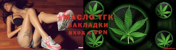 соль ск Новозыбков