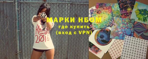 соль ск Новодвинск